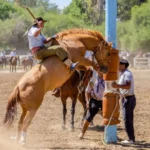 Neuquén: Fiesta del Chacarero y el Hombre de Campo en Picún Leufú