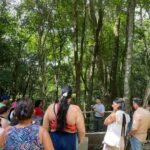 Misiones sostiene el objetivo de promover un “turismo accesible”