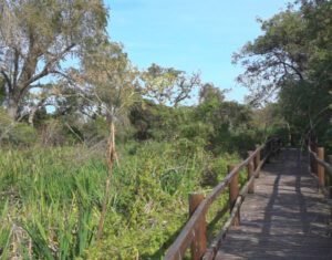 turismo en la provincia de Buenos Aires