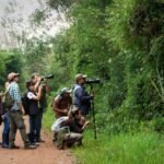 Observación de aves en Misiones, gran oportunidad en Volar 2025