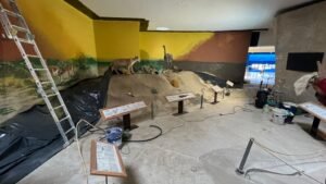 pingüinos en Punta Tombo, Chubut