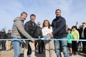 temporada de pingüinos en chubut