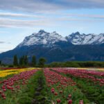 Esquel: 1er. Congreso Binacional de Paisajismo Patagónico
