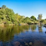 Predicciones de Viaje 2026 destacadas por Booking.com