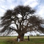 La Pampa: 8 localidades que dan vida a la región Cielo Coronado