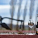 Marzo con atractivo calendario del enoturismo bonaerense