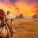 ATON: «Puerta de entrada a las maravillas de Egipto y el mundo»