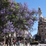 Renovada agenda cultural de la Ciudad de Buenos Aires