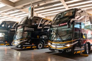 Flecha Bus confirma la continuidad de su servicio San Juan – Neuquén