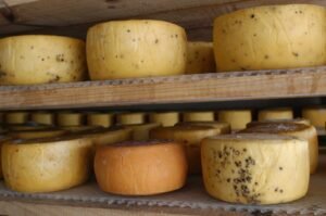 Emblema turístico e identidad tucumana: El queso de Tafí del Valle obtuvo la Indicación Geográfica