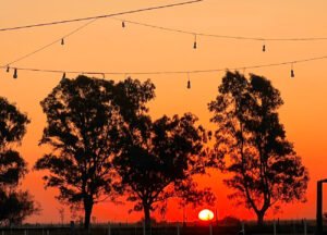 Tres horizontes y una memoria: Viaje por la Isla Martín García, La Niña y Berutti