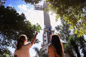 Misiones: El Parque Temático de la Cruz celebra su 15° aniversario