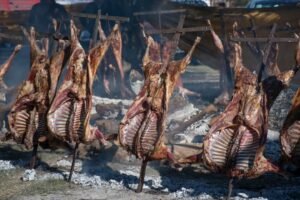 Un mix de ciencia, naturaleza, gastronomía y tradición criolla en las bonaerenses Claromecó y Magdalena