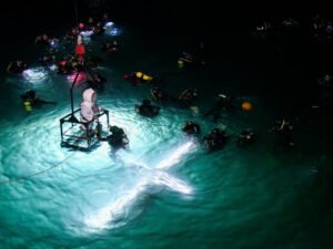 Héroes de Malvinas y fe bajo el mar: Puerto Madryn vivió un Vía Crucis Submarino inolvidable