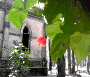 Relatos intrigantes que despiertan fascinación en destinos turísticos bonaerenses