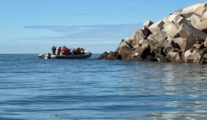 Chubut impulsa nuevas experiencias de turismo de naturaleza con fauna marina en Comodoro Rivadavia