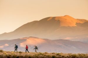 Vinos de altura, peñas y paisajes infinitos: «Salta te invita a enamorarte otra vez»