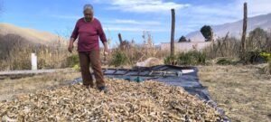 Tafí del Valle tiene entre sus riquezas a Ángela, una expresión de las cosas importantes de la vida