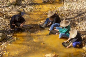 Nueva Guía de recomendaciones para pueblos rurales – BTV Argentina