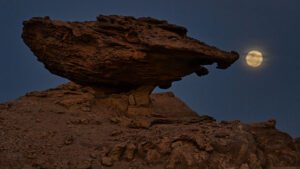 Ischigualasto se prepara para recibir a las familias con mejoras y capacitación