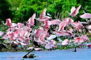 Chaco, Corrientes, Misiones, Formosa, Entre Ríos y Santa Fe con invitaciones especiales para este invierno
