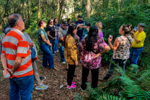 Invierno en Misiones: Una temporada para experiencias en cuatro regiones