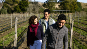 Vinos, la Ruta del Olivo y una especial invitación de la Provincia de Buenos Aires