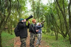 Misiones expone a la observación de aves como uno de sus principales productos turísticos de naturaleza