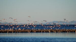 Vacaciones de invierno: Mendoza invita a descubrir la naturaleza en sus Áreas Naturales Protegidas