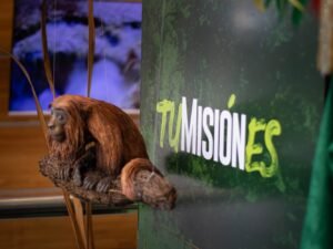 Misiones en Buenos Aires: Charlas Verdes en la Urbe