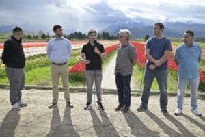 Chubut: La temporada de tulipanes ilumina los paisajes